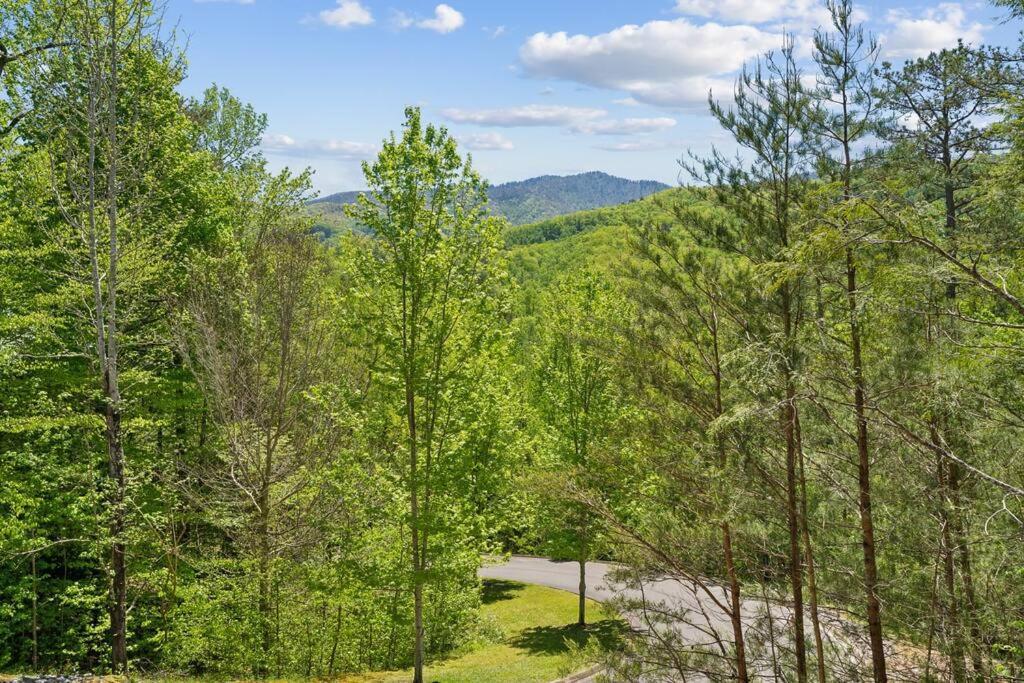 Willa Baby Bear Den Gatlinburg Zewnętrze zdjęcie